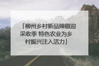 柳州乡村新品辣椒迎采收季 特色农业为乡村振兴注入活力