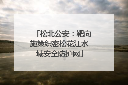 松北公安：靶向施策织密松花江水域安全防护网