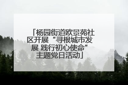 杨园街道欧景苑社区开展“寻根城市发展 践行初心使命”主题党日活动