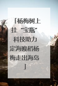 杨梅树上挂“宝瓶” 科技助力定海晚稻杨梅走出海岛