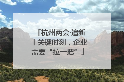 杭州两会·追新丨关键时刻，企业需要“拉一把”