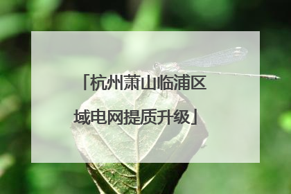 杭州萧山临浦区域电网提质升级