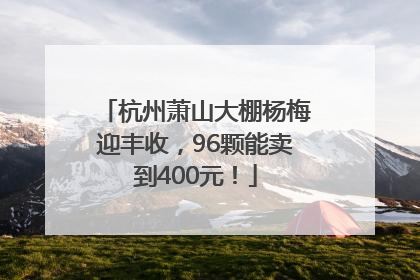 杭州萧山大棚杨梅迎丰收，96颗能卖到400元！