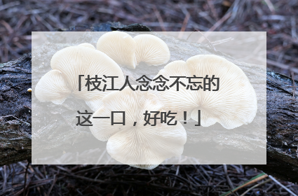 枝江人念念不忘的这一口，好吃！