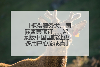 携带服务犬、国际客票预订……鸿蒙版中国国航让更多用户心愿成真