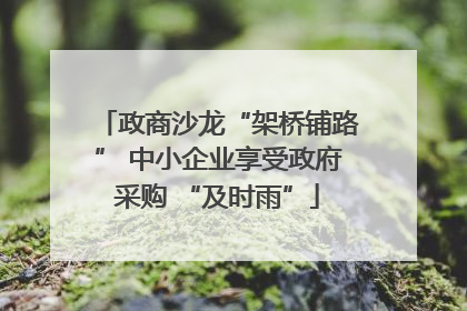 政商沙龙“架桥铺路” 中小企业享受政府采购 “及时雨”