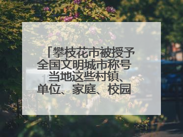 攀枝花市被授予全国文明城市称号 当地这些村镇、单位、家庭、校园也是全国文明！