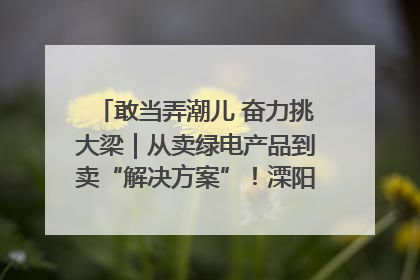 敢当弄潮儿 奋力挑大梁｜从卖绿电产品到卖“解决方案”！溧阳立足产业优势建成五大微电网示范项目