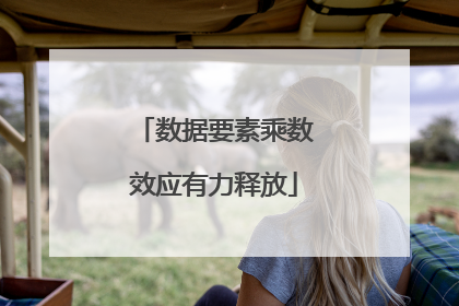 数据要素乘数效应有力释放