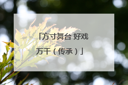 方寸舞台 好戏万千（传承）