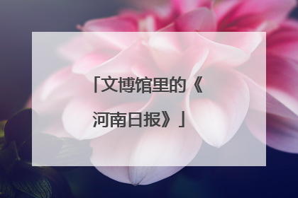 文博馆里的《河南日报》
