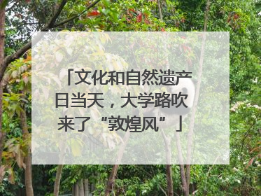 文化和自然遗产日当天，大学路吹来了“敦煌风”