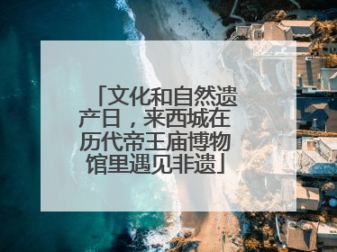 文化和自然遗产日，来西城在历代帝王庙博物馆里遇见非遗