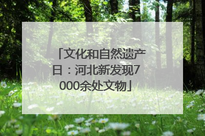 文化和自然遗产日：河北新发现7000余处文物