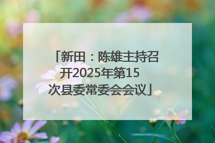 新田：陈雄主持召开2025年第15次县委常委会会议