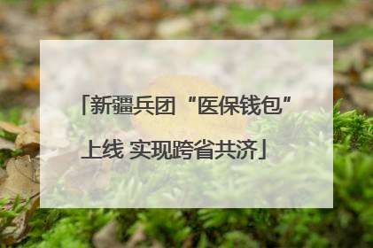 新疆兵团“医保钱包”上线 实现跨省共济
