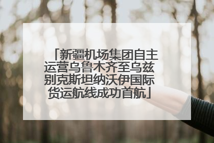 新疆机场集团自主运营乌鲁木齐至乌兹别克斯坦纳沃伊国际货运航线成功首航