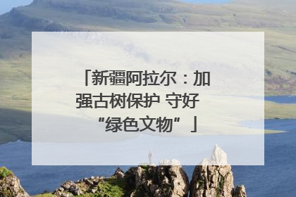 新疆阿拉尔：加强古树保护 守好“绿色文物”