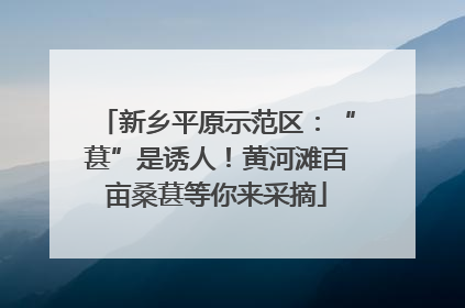 新乡平原示范区：“葚”是诱人！黄河滩百亩桑葚等你来采摘