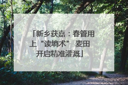 新乡获嘉：春管用上“读墒术” 麦田开启精准灌溉