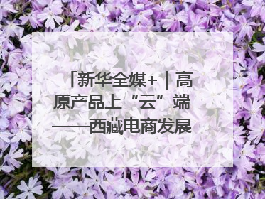 新华全媒+｜高原产品上“云”端——西藏电商发展一线观察