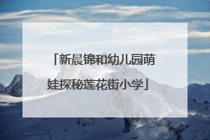 新晨锦和幼儿园萌娃探秘莲花街小学