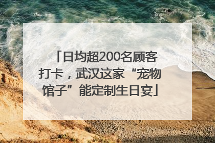 日均超200名顾客打卡，武汉这家“宠物馆子”能定制生日宴