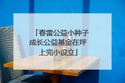 春雷公益小种子成长公益基金在坪上完小设立