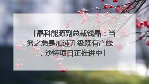 晶科能源副总裁钱晶：当务之急是加速升级既有产线，沙特项目正推进中