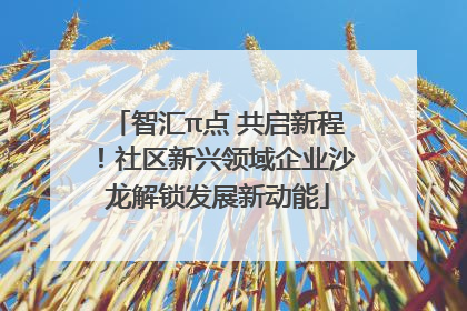 智汇π点 共启新程！社区新兴领域企业沙龙解锁发展新动能