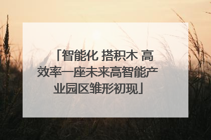智能化 搭积木 高效率一座未来高智能产业园区雏形初现
