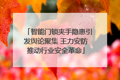 智能门锁夹手隐患引发舆论聚集 王力安防推动行业安全革命
