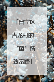 晋宁区青龙村的“菌”情致富路
