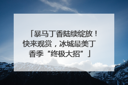 暴马丁香陆续绽放！快来观赏，冰城最美丁香季“终极大招”