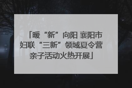 暖“新”向阳 襄阳市妇联“三新”领域夏令营亲子活动火热开展