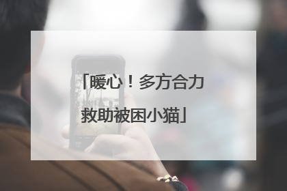 暖心！多方合力救助被困小猫