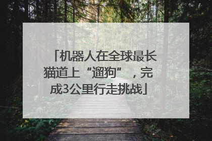 机器人在全球最长猫道上“遛狗”，完成3公里行走挑战