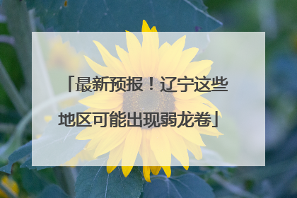最新预报！辽宁这些地区可能出现弱龙卷
