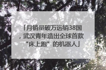 月销量破万远销38国，武汉青年造出全球首款“床上跑”的机器人