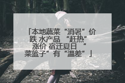 本地蔬菜“消暑”价跌 水产品 “赶热” 涨价 宿迁夏日 “菜篮子”有“温差”