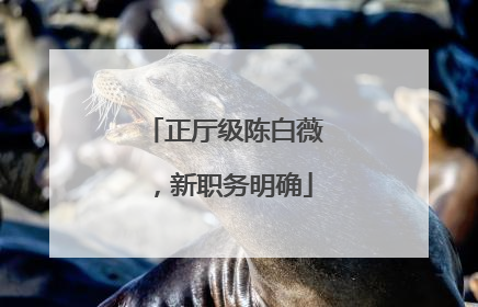 正厅级陈白薇，新职务明确