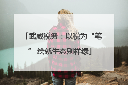 武威税务：以税为“笔” 绘就生态别样绿