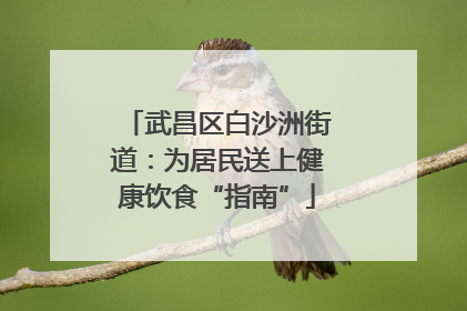 武昌区白沙洲街道：为居民送上健康饮食“指南”