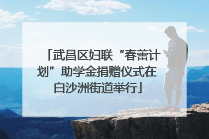 武昌区妇联“春蕾计划”助学金捐赠仪式在白沙洲街道举行