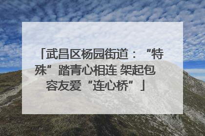 武昌区杨园街道：“特殊”踏青心相连 架起包容友爱“连心桥”