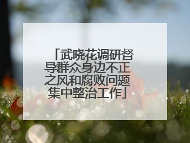武晓花调研督导群众身边不正之风和腐败问题集中整治工作