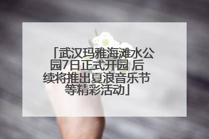 武汉玛雅海滩水公园7日正式开园 后续将推出夏浪音乐节等精彩活动