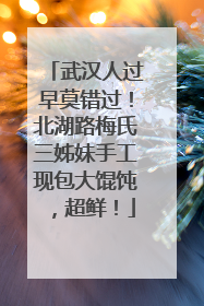武汉人过早莫错过！北湖路梅氏三姊妹手工现包大馄饨，超鲜！