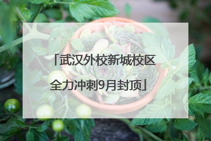 武汉外校新城校区全力冲刺9月封顶