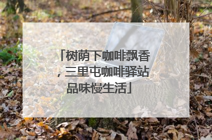 树荫下咖啡飘香，三里屯咖啡驿站品味慢生活